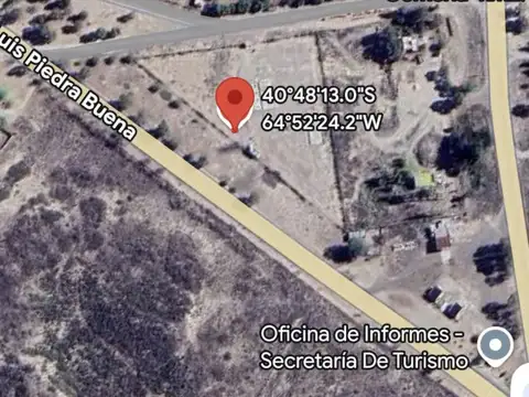 LUIS PIEDRA BUENA 100
