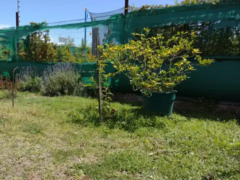 Barrio Olivos de Furlotti