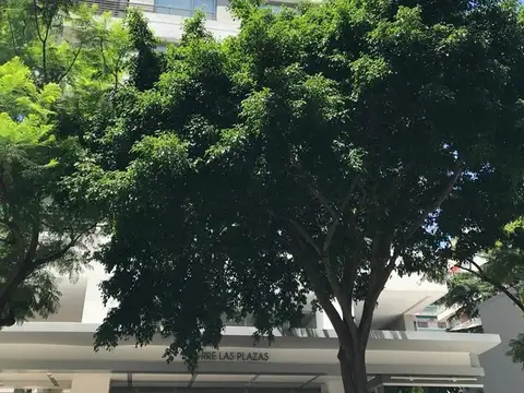 Blanco de Encalada 5300