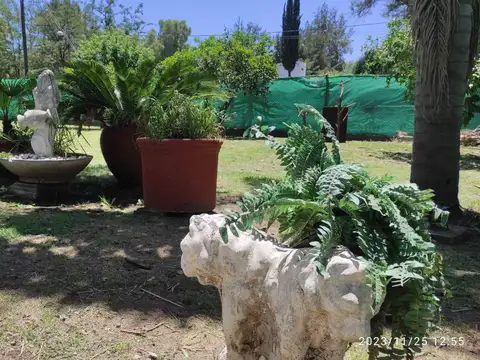 PUERTO ARGENTINO AL 100