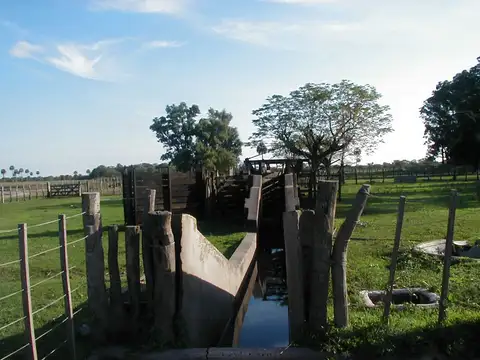 Estancia "San Esteban" en Federal, Provincia de Entre Ríos