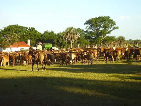 Estancia "San Esteban" en Federal, Provincia de Entre Ríos