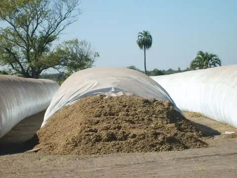 Estancia "San Esteban" en Federal, Provincia de Entre Ríos