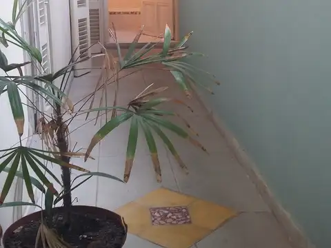 Departamento en Alquiler 90 años