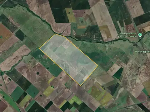 Campo Ganadero en Cepeda – 303 hectáreas.