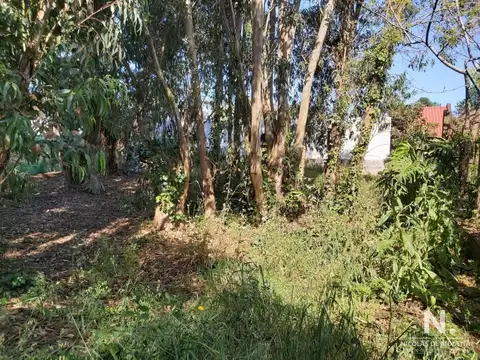 Terreno en Venta en Playa Mansa, USD 98.000