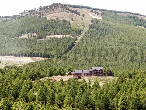 Venta lote Villa Pehuenia