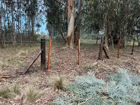 Terreno en Venta en Barrio Chapadmalal, USD 52.000