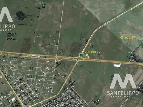 Campo - Chacras - Venta - Chascomús