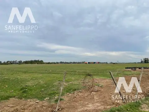 Campo - Chacras - Venta - Chascomús