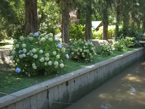 Rio / Arroyo Toro quinta El Recuerdo 100