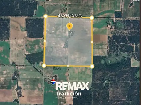 Campo Mixto de 100 Hectáreas en Juan José Castelli