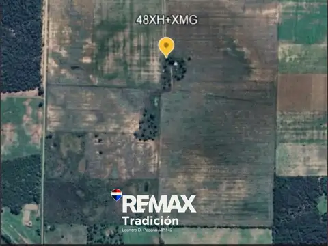 Campo Mixto de 100 Hectáreas en Juan José Castelli