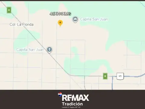 Campo Mixto de 100 Hectáreas en Juan José Castelli