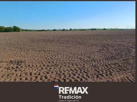 Campo Mixto de 100 Hectáreas en Juan José Castelli