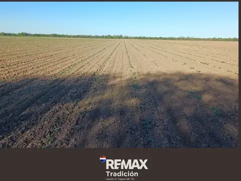 Campo Mixto de 100 Hectáreas en Juan José Castelli