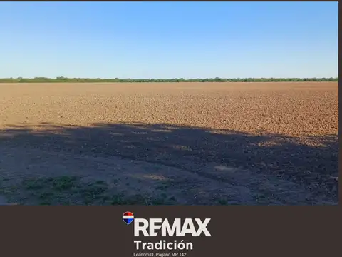 Campo Mixto de 100 Hectáreas en Juan José Castelli