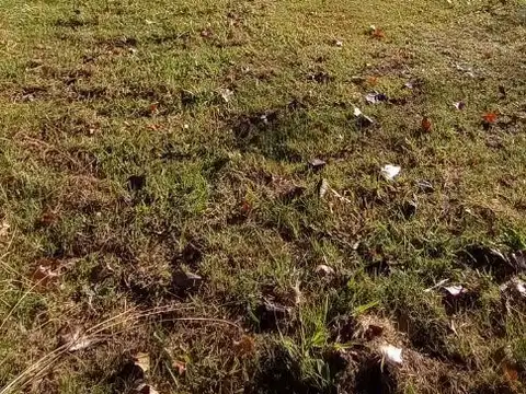 Terreno en Venta en Barrio Villa Rosa, USD 60.000