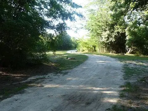 El Saladero  - Atalaya