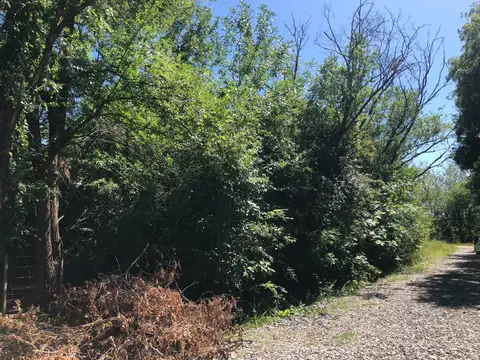 El Resero y El Alazan