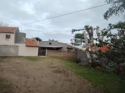 JAVIER ROSAS 800