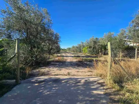 Terreno en Venta de 3100,0 m2