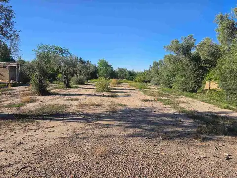 VENTA LOTE / TERRENO -COQUIMBITO - BODEGAS-TURISMO