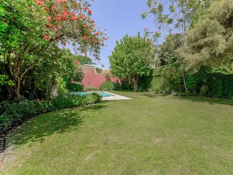 Francisco Borges 848