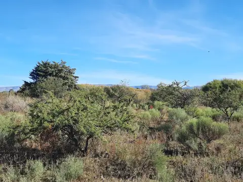 Terreno en Venta en Residencias 1, USD 27.000