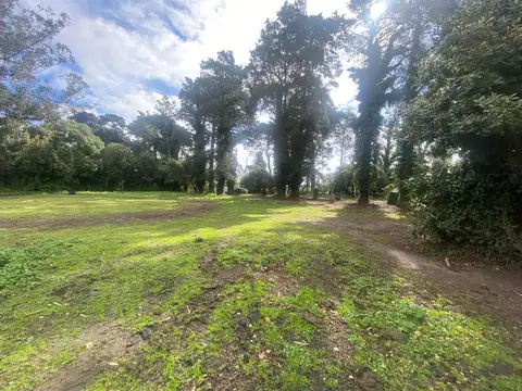 Terreno en Venta de 4183,0 m2