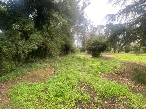 Terreno en Venta en Parque Palermo, USD 60.000