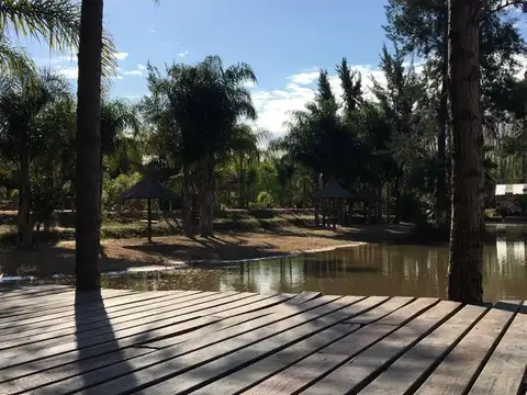 Terreno - Sandor Mikler