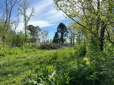TERRENO VENTA LOS PINOS EXALTACION DE LA CRUZ