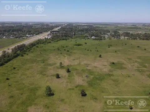 Único campo en venta de 256 has sobre Ruta 2 - Ideal desarrollo Inmobiliario