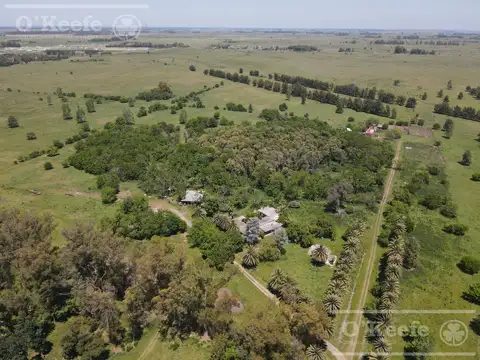 Único campo en venta de 256 has sobre Ruta 2 - Ideal desarrollo Inmobiliario