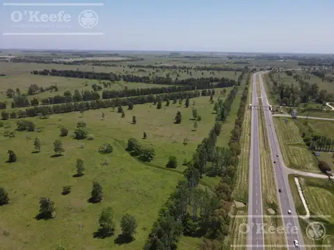 Unico campo en venta de 256 has sobre Ruta 2 - Ideal desarrollo Inmobiliario