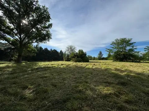 Chazarreta esq Zapala