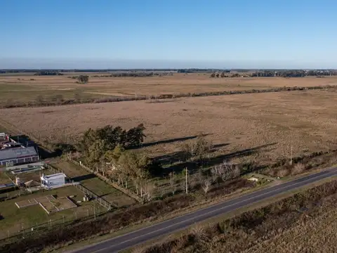 Domselaar Oeste Campo RP 210 km 53100