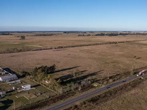 Domselaar Oeste Campo RP 210 km 53100