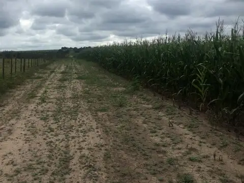 Oportunidad 900 has Rosario de La Frontera Salta - Financiación