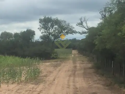 El Porvenir