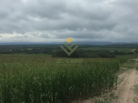 El Porvenir