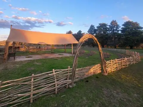 Campo en Venta Agrícola