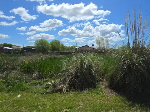 Venta Lote En Principal Avenida En Mar Del Tuyu 79 Entre 14 Y 14 Bis