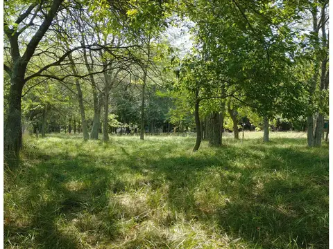 Casa en Venta 15 años