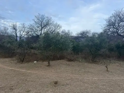 Terreno en Venta de 1245,0 m2