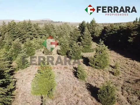 Terreno en Venta en Ñirihuao Estación FCGR, USD 2.100.000
