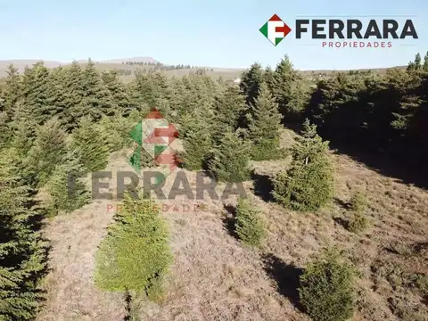 Terreno en Venta en Ñirihuao Estación FCGR, USD 2.100.000