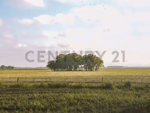 Venta, campo de 1470 ha en logroño, apto ganaderia y agricultura