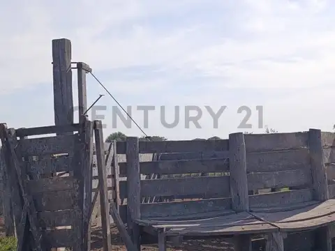 Venta, campo de 1470 ha en logroño, apto ganaderia y agricultura